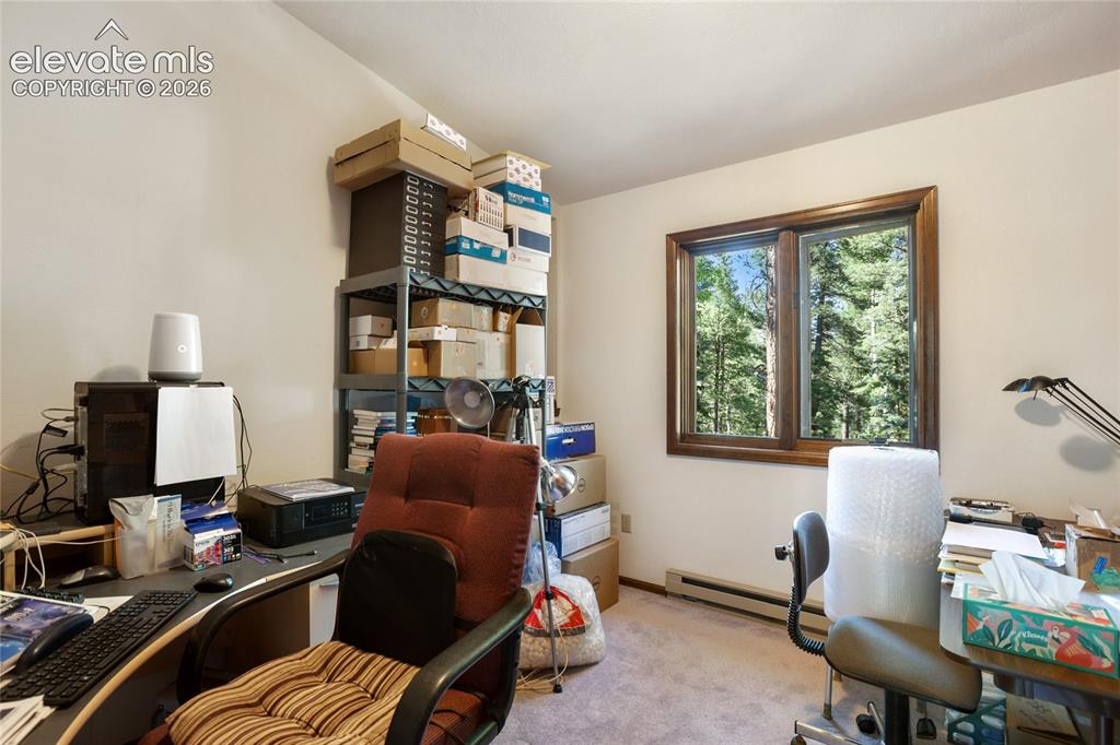 886 Cottonwood Lake Drive Divide CO 80814