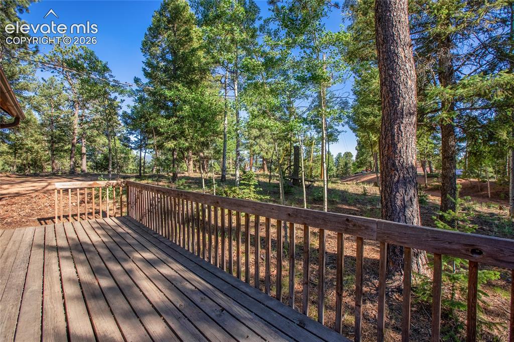 886 Cottonwood Lake Drive Divide CO 80814