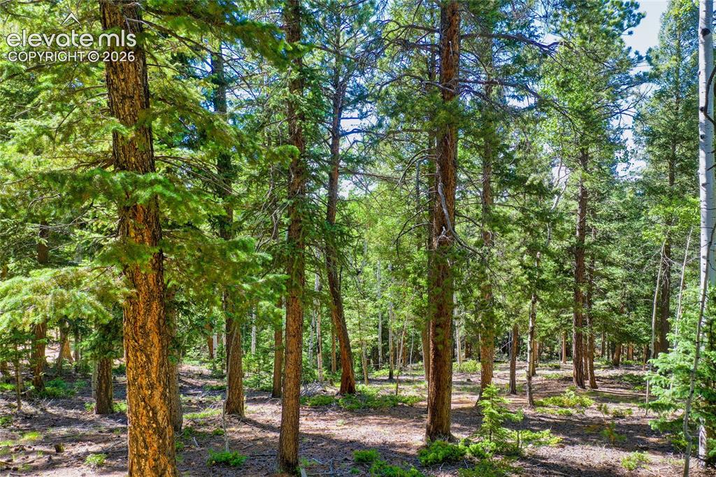 886 Cottonwood Lake Drive Divide CO 80814