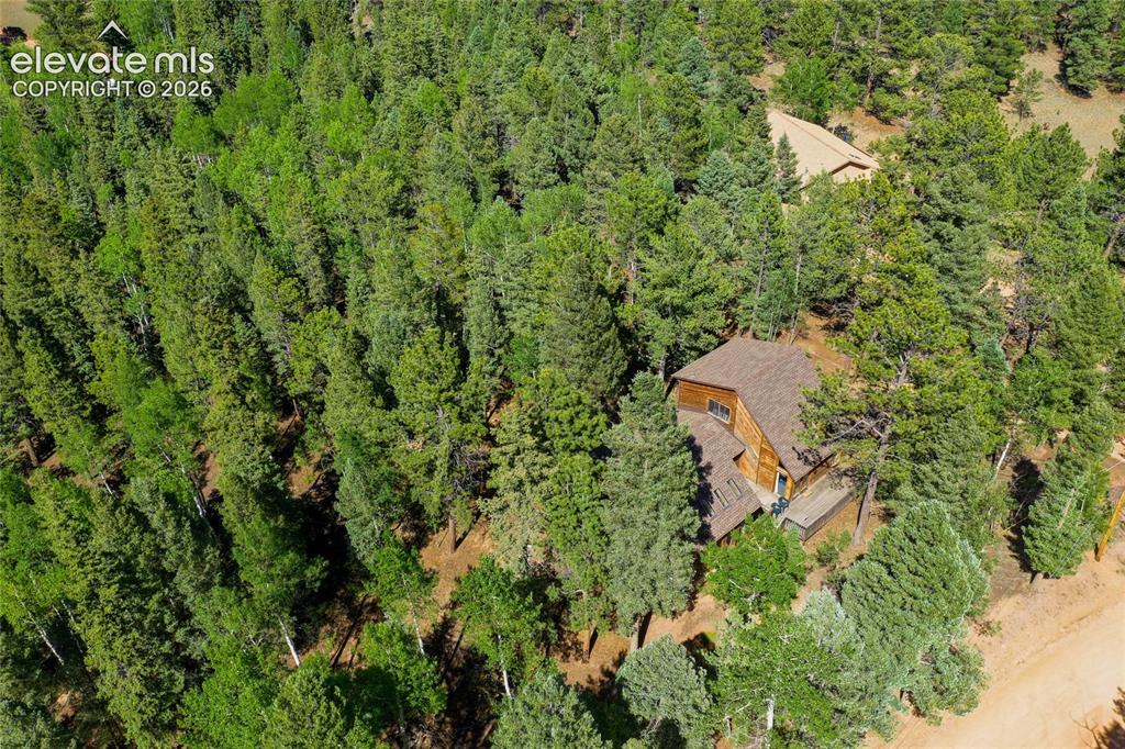 886 Cottonwood Lake Drive Divide CO 80814