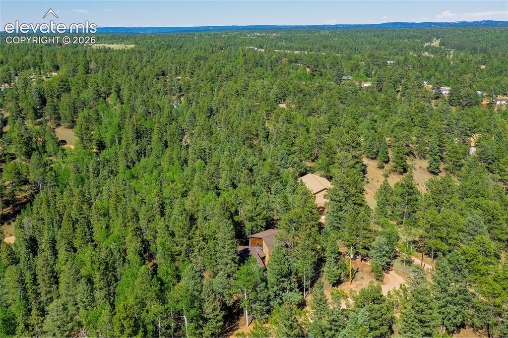 886 Cottonwood Lake Drive Divide CO 80814