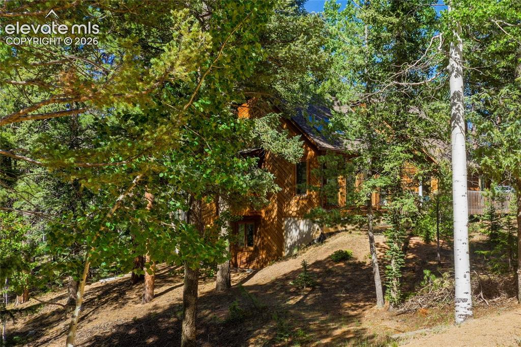 886 Cottonwood Lake Drive Divide CO 80814