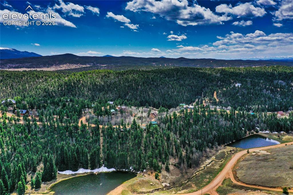886 Cottonwood Lake Drive Divide CO 80814
