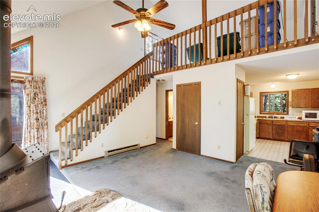 886 Cottonwood Lake Drive Divide CO 80814