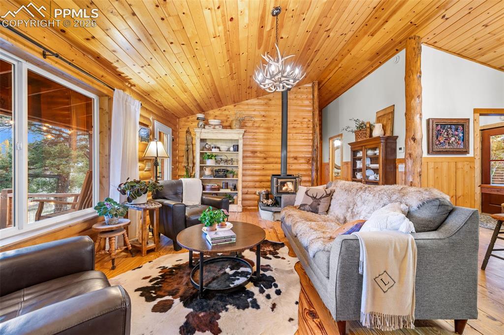 1366 Vagabond Creek Drive Lake George CO 80827
