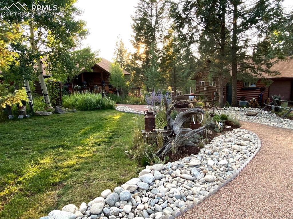 1366 Vagabond Creek Drive Lake George CO 80827