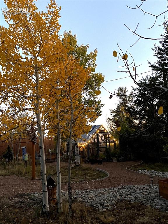 1366 Vagabond Creek Drive Lake George CO 80827