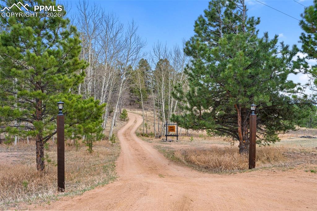 1366 Vagabond Creek Drive Lake George CO 80827
