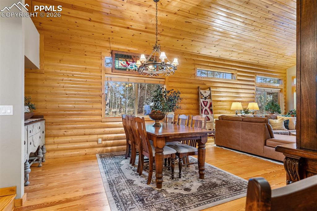 1366 Vagabond Creek Drive Lake George CO 80827