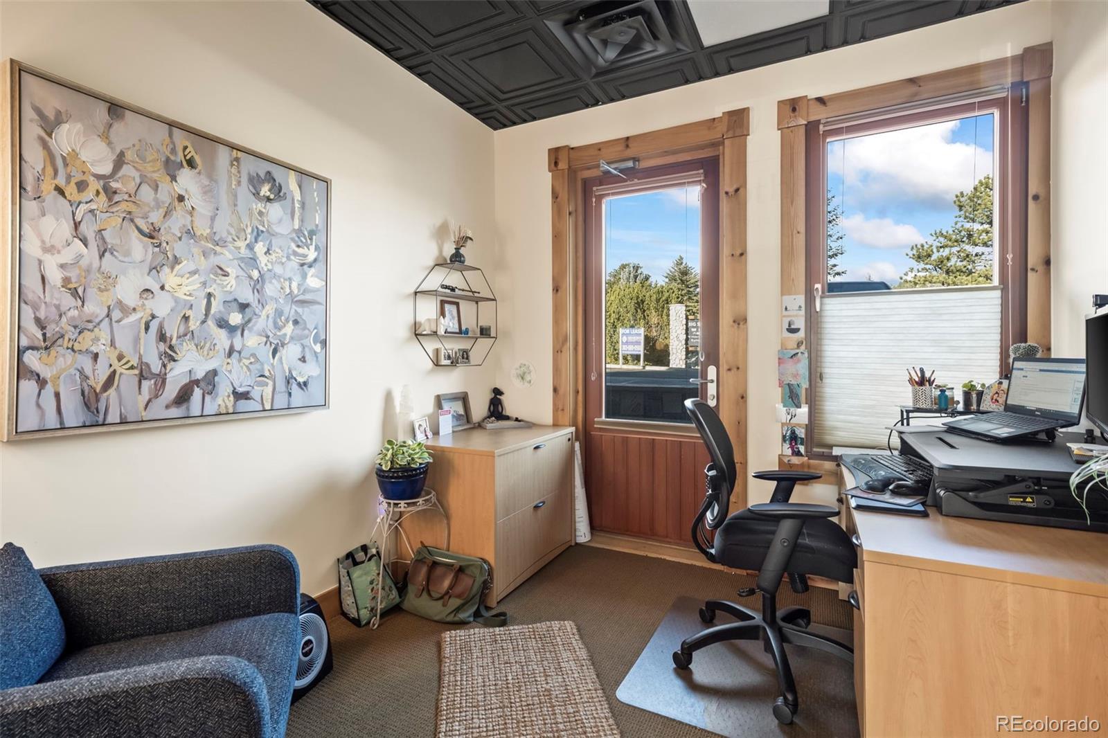 31955 Castle Court Evergreen CO 80439