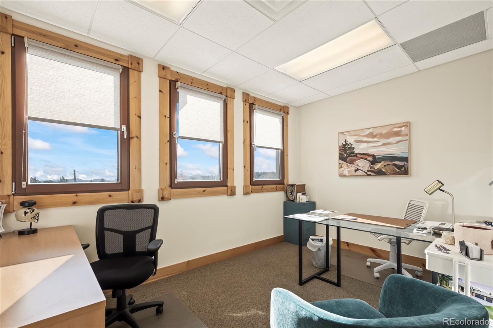 31955 Castle Court Evergreen CO 80439