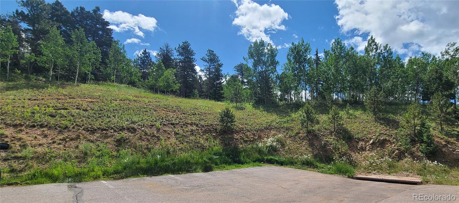 26689 Pleasant Park Road Conifer CO 80433
