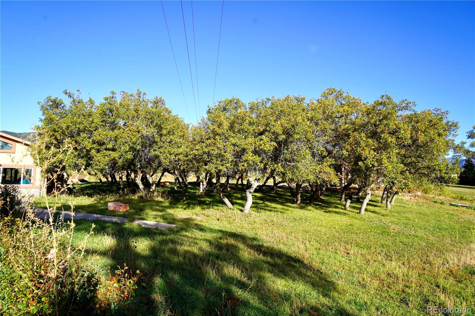 14275 S State Highway 115 Colorado Springs CO 80926