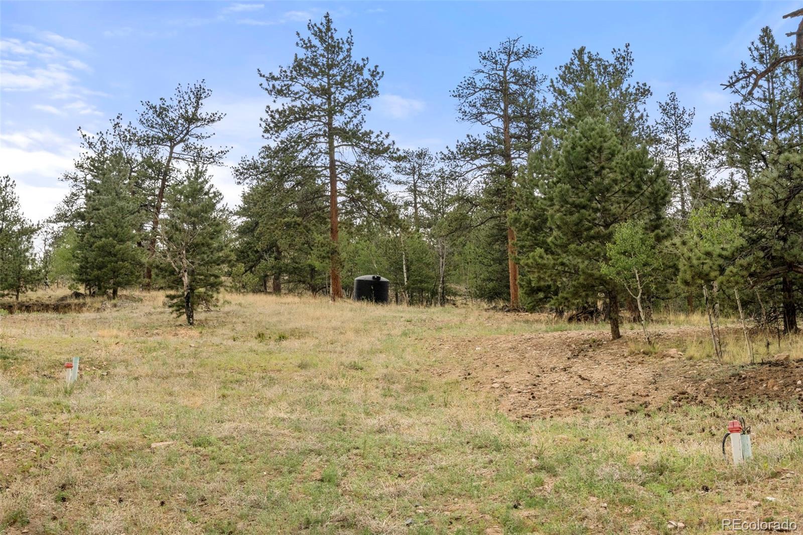 20859 County Road 77 Lake George CO 80827