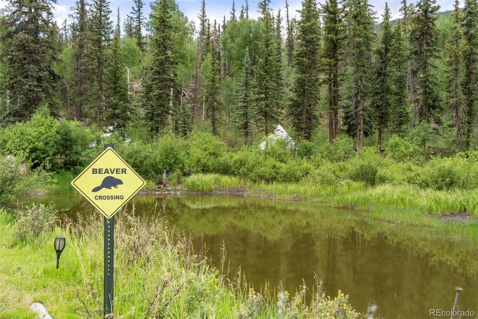 20859 County Road 77 Lake George CO 80827