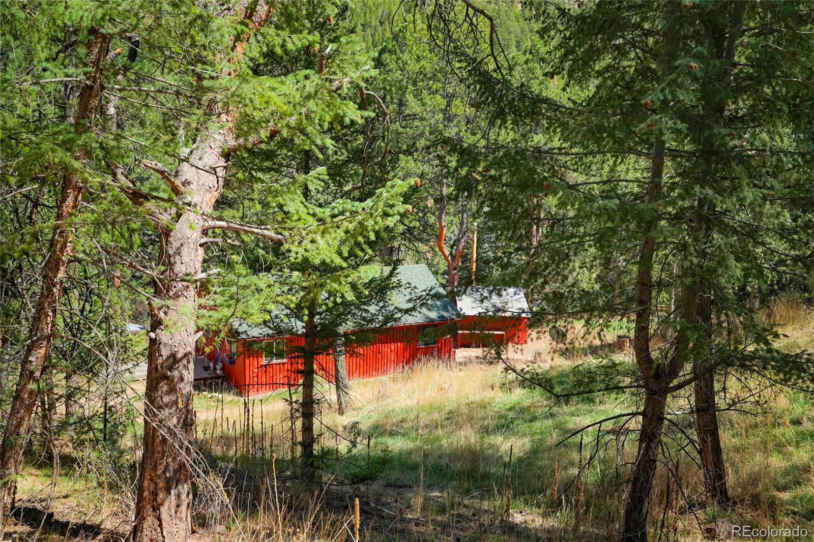 6517 S Brook Forest Road Evergreen CO 80439