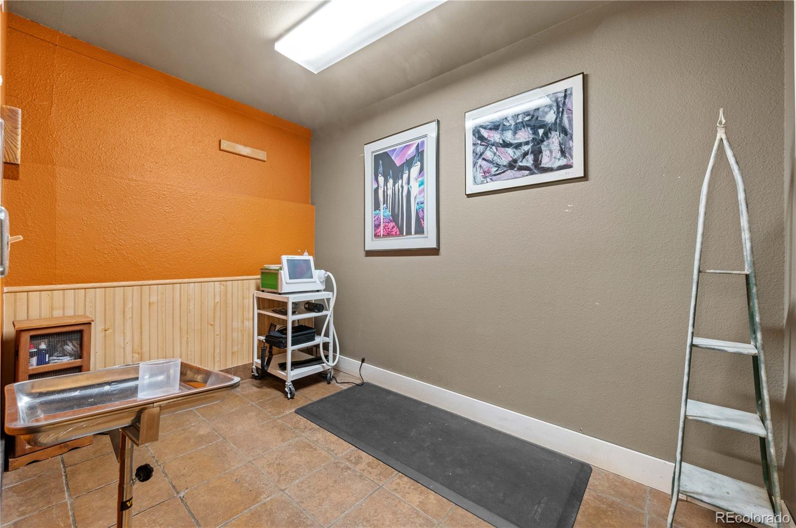 820 Wilcox Street Castle Rock CO 80104