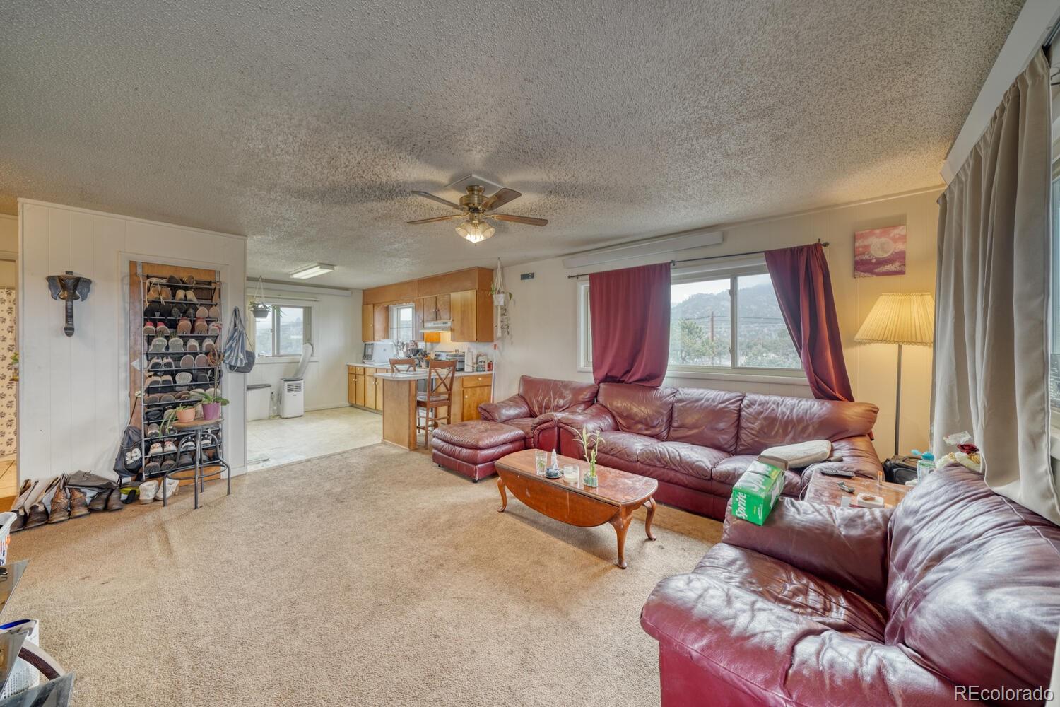 29975 Us Highway 24 Buena Vista CO 81211