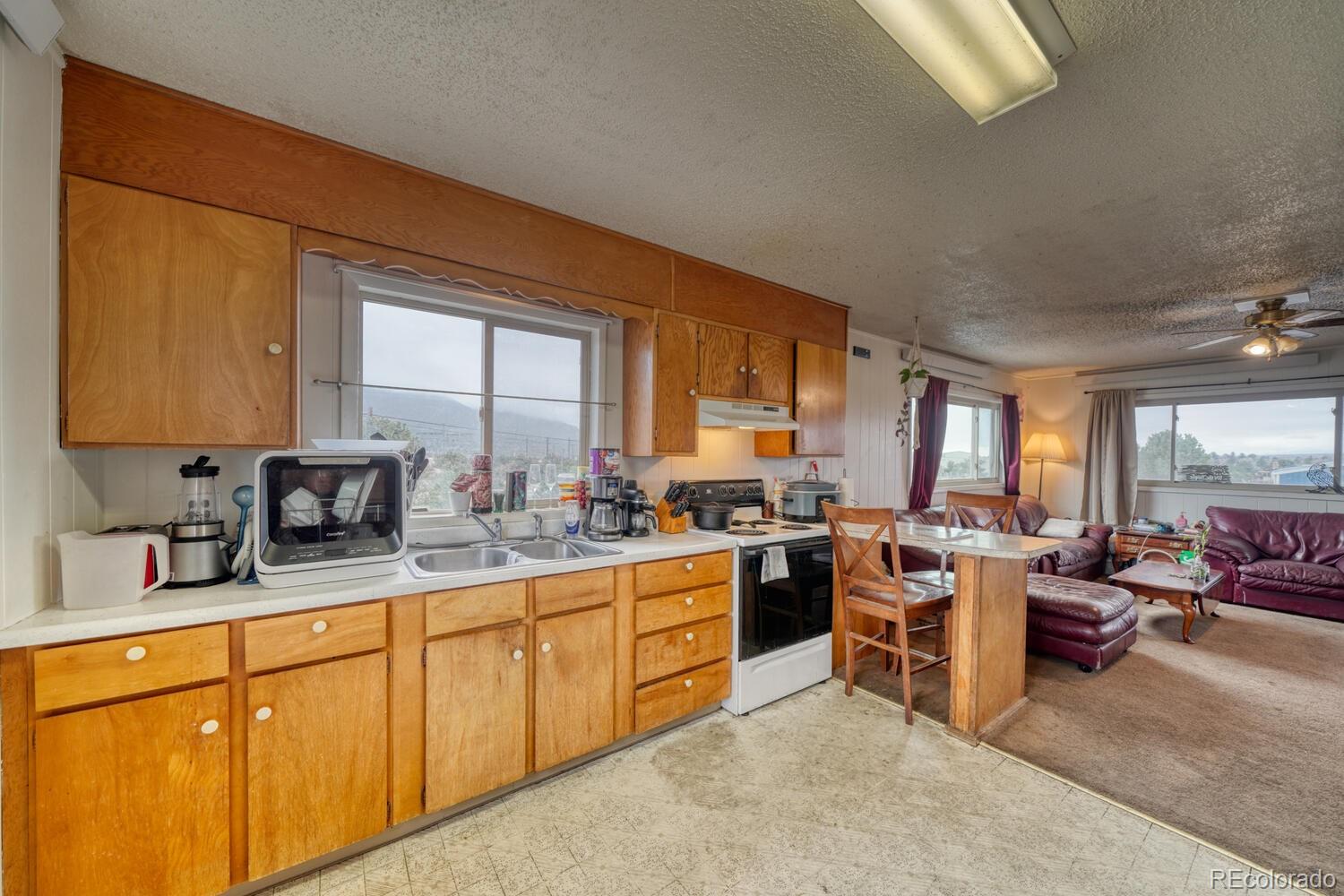 29975 Us Highway 24 Buena Vista CO 81211