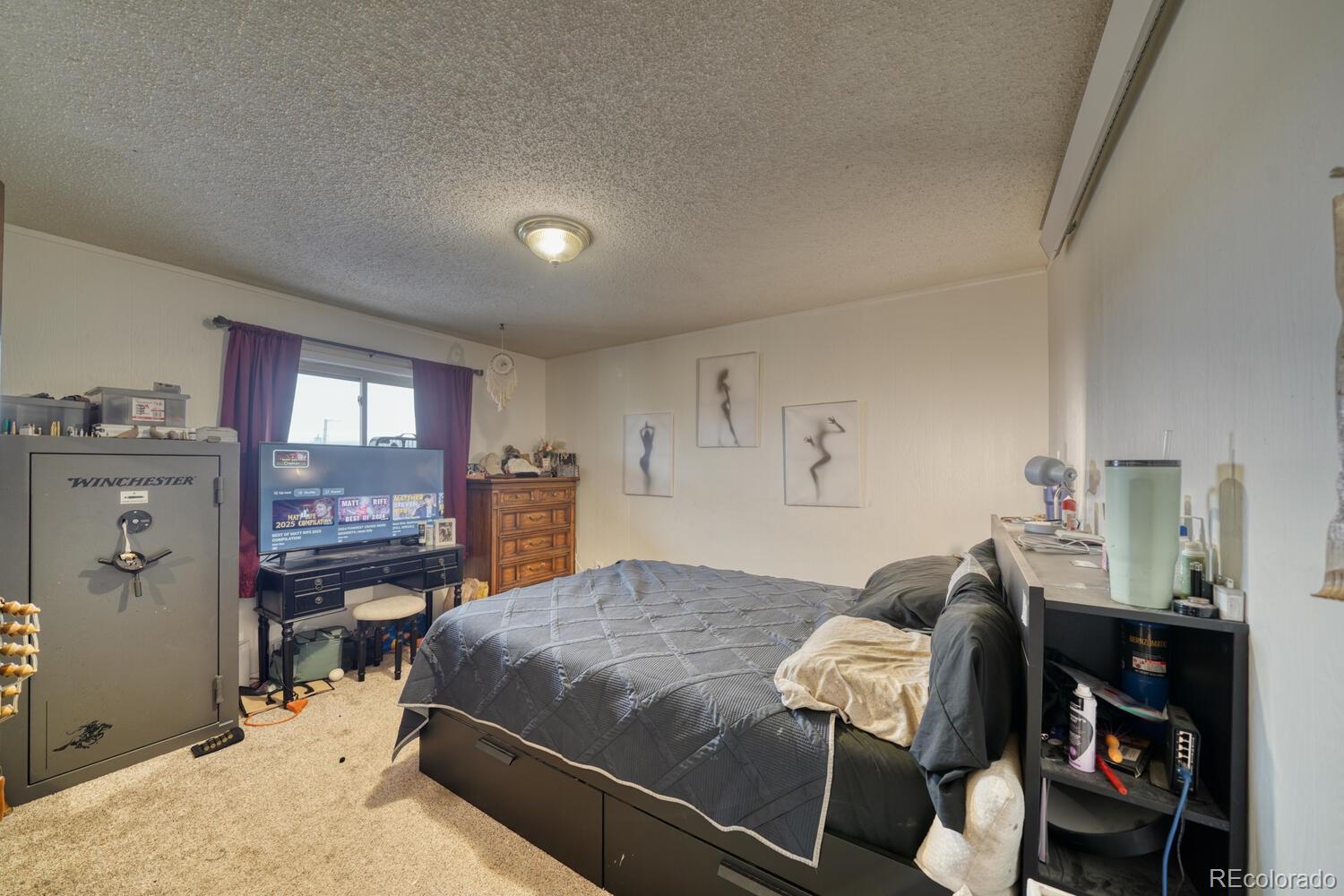 29975 Us Highway 24 Buena Vista CO 81211