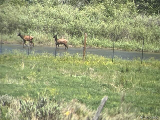 41008 County Road 5 Meeker CO 81641