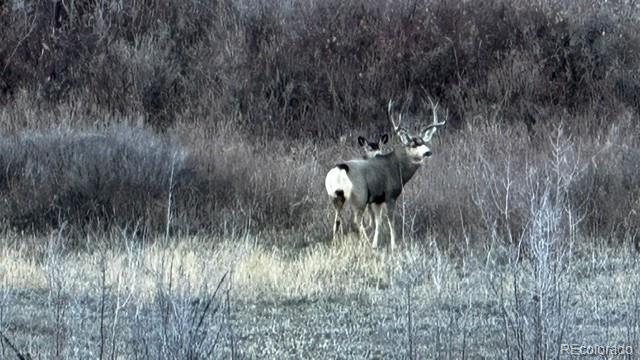 41008 County Road 5 Meeker CO 81641