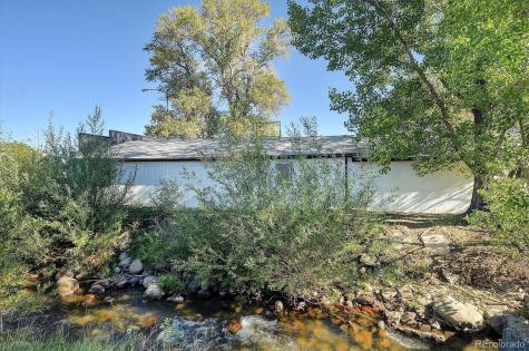 107 Cottonwood Avenue Buena Vista CO 81211