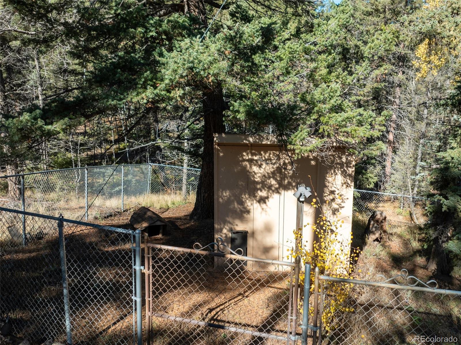 457 Stonehenge Drive Florissant CO 80816