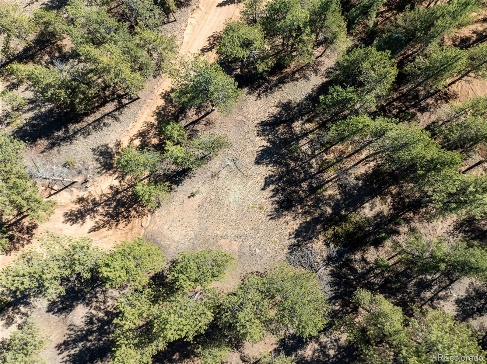 457 Stonehenge Drive Florissant CO 80816