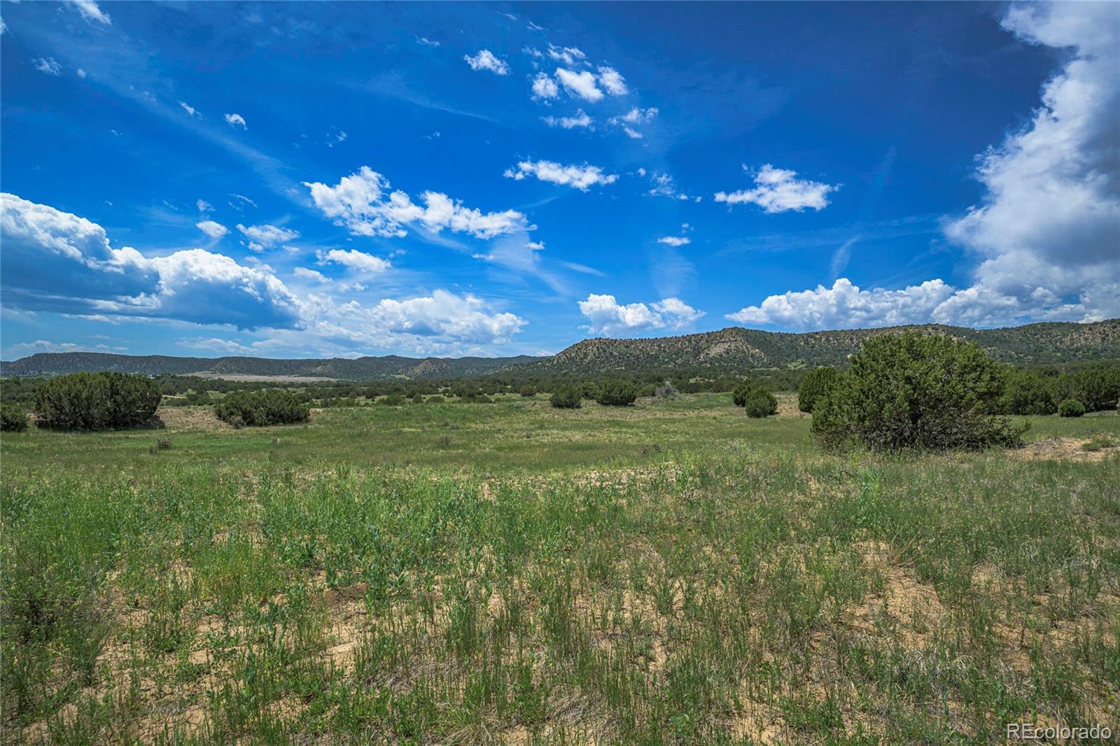 County Road 71.1 Trinidad CO 81082