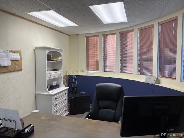 695 Pierce Street Erie CO 80516