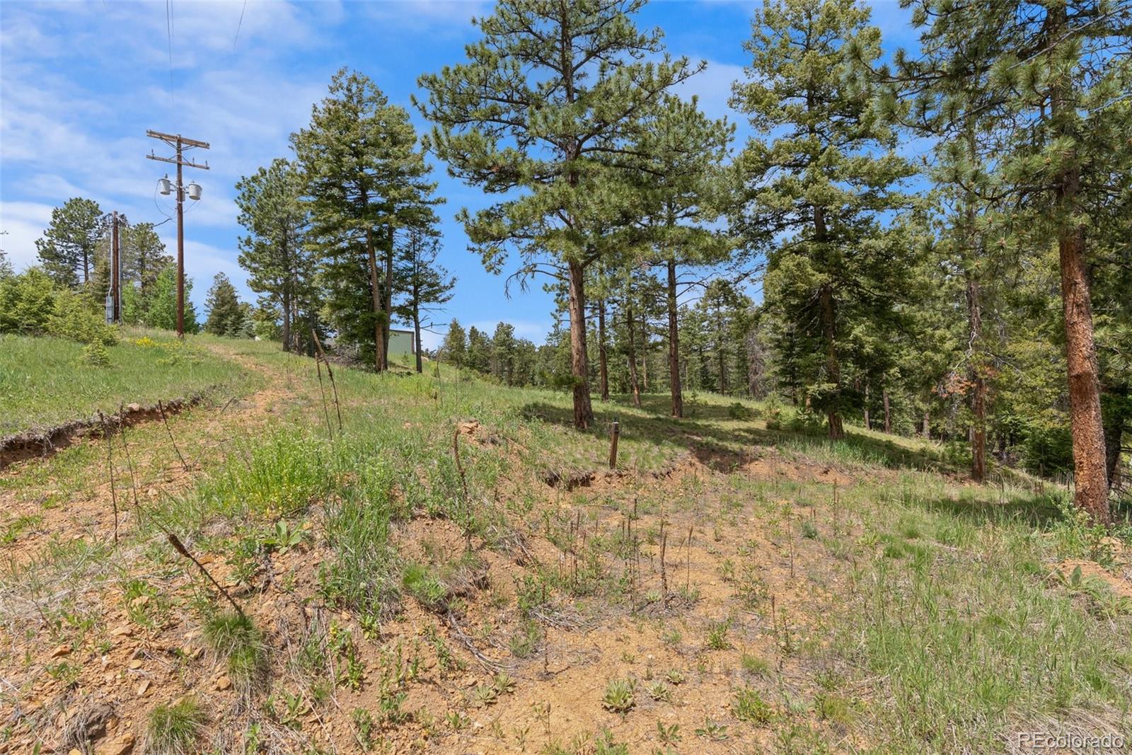 11040 Kitty Drive Conifer CO 80433