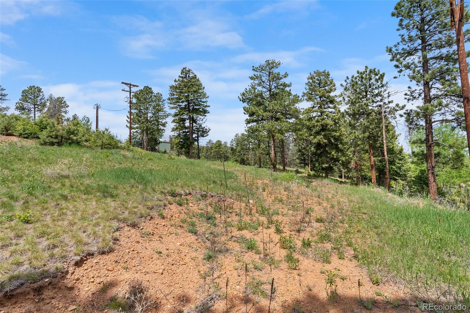 11040 Kitty Drive Conifer CO 80433