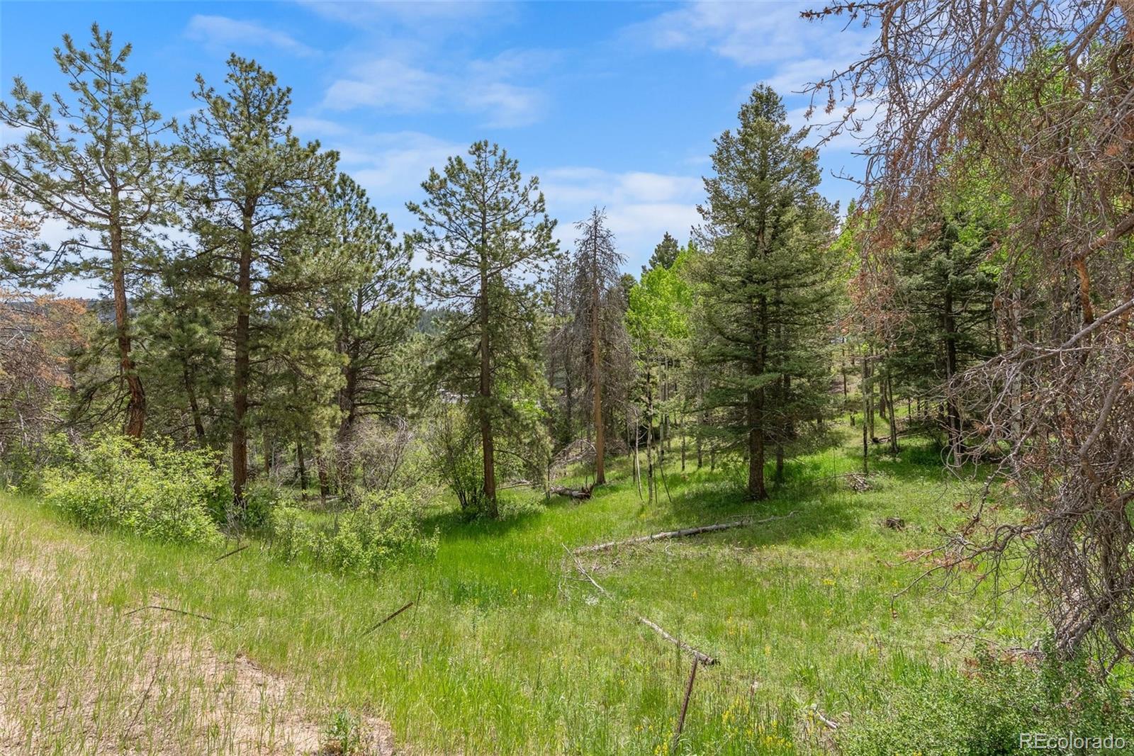 11040 Kitty Drive Conifer CO 80433