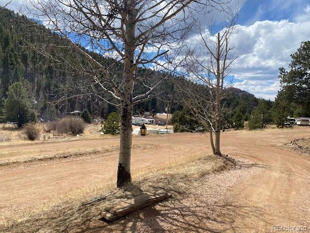 4023 Teller 1 Road Cripple Creek CO 80813