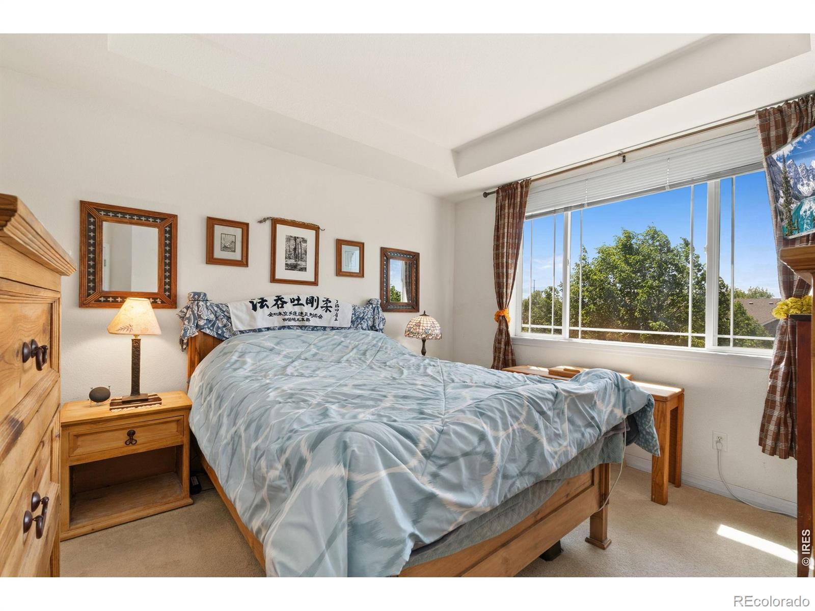 804 Summer Hawk Drive Longmont CO 80504