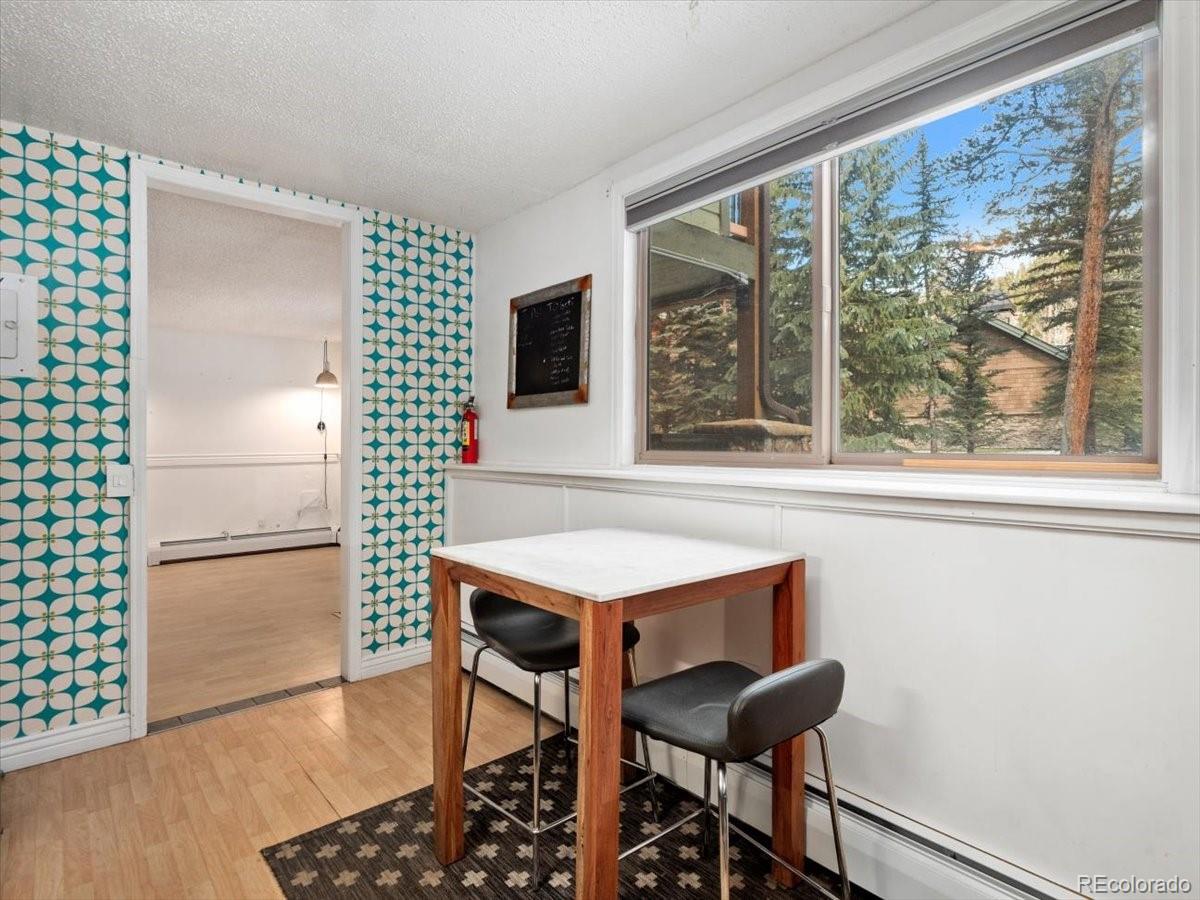 550 S French Street Breckenridge CO 80424