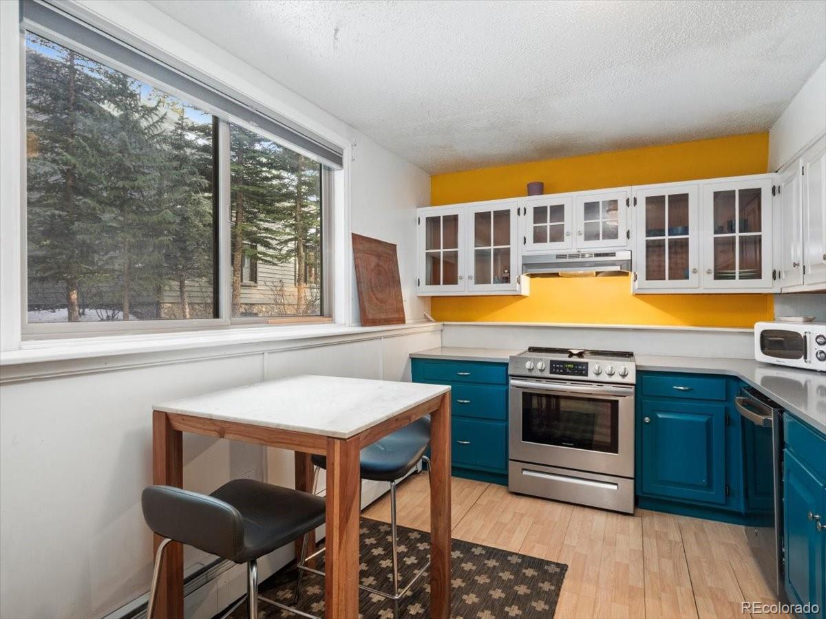 550 S French Street Breckenridge CO 80424
