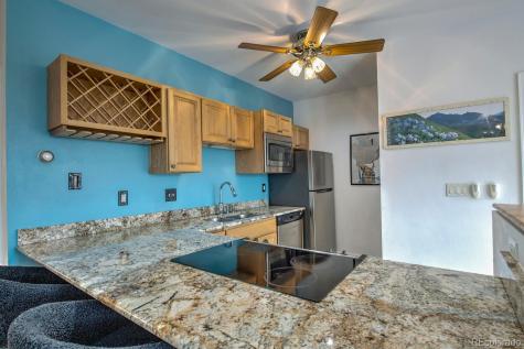 91500 Ryan Gulch Road Silverthorne CO 80498