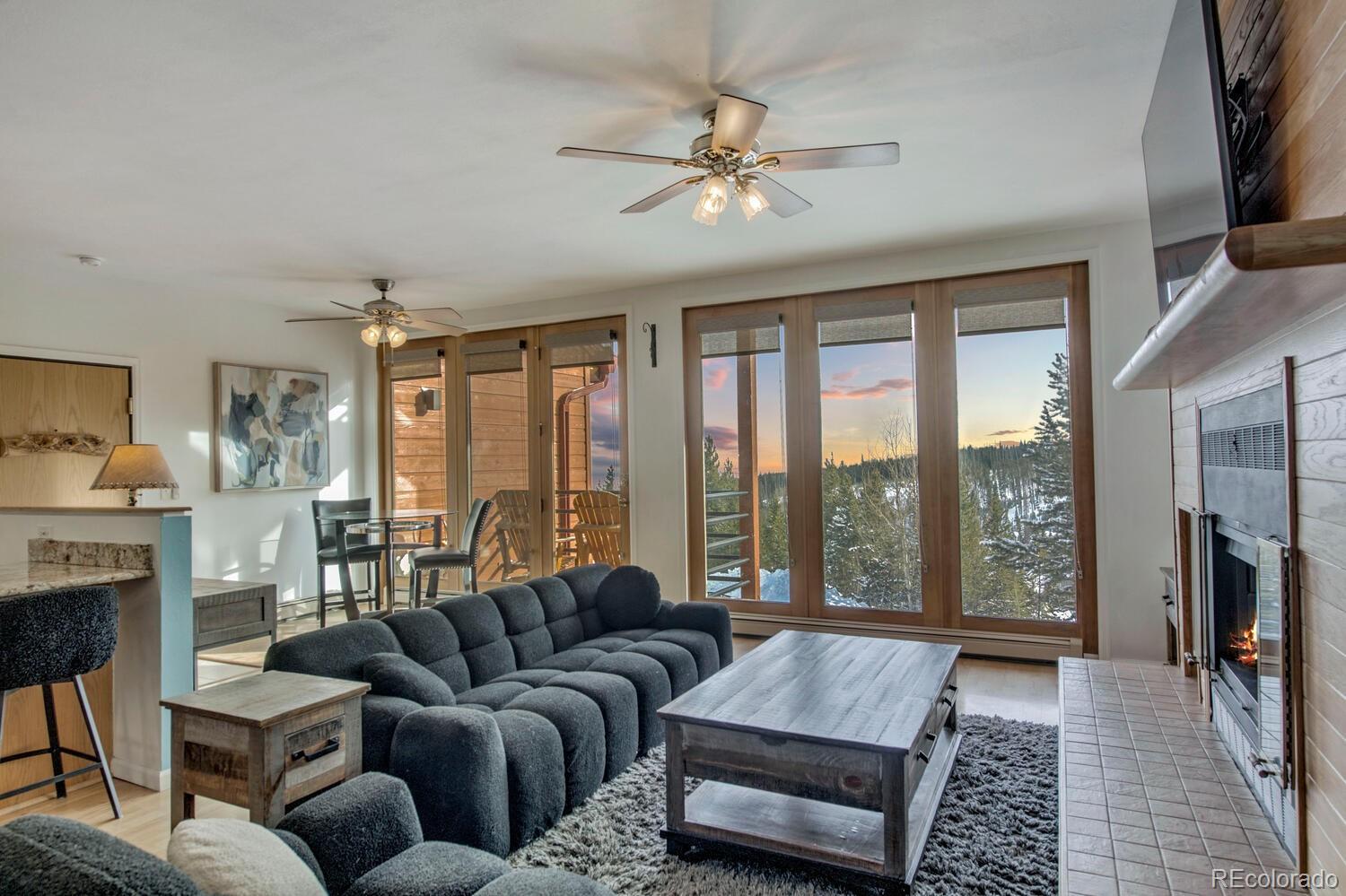 91500 Ryan Gulch Road Silverthorne CO 80498