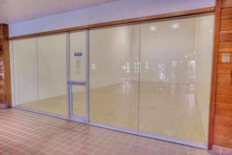 91500 Ryan Gulch Road Silverthorne CO 80498