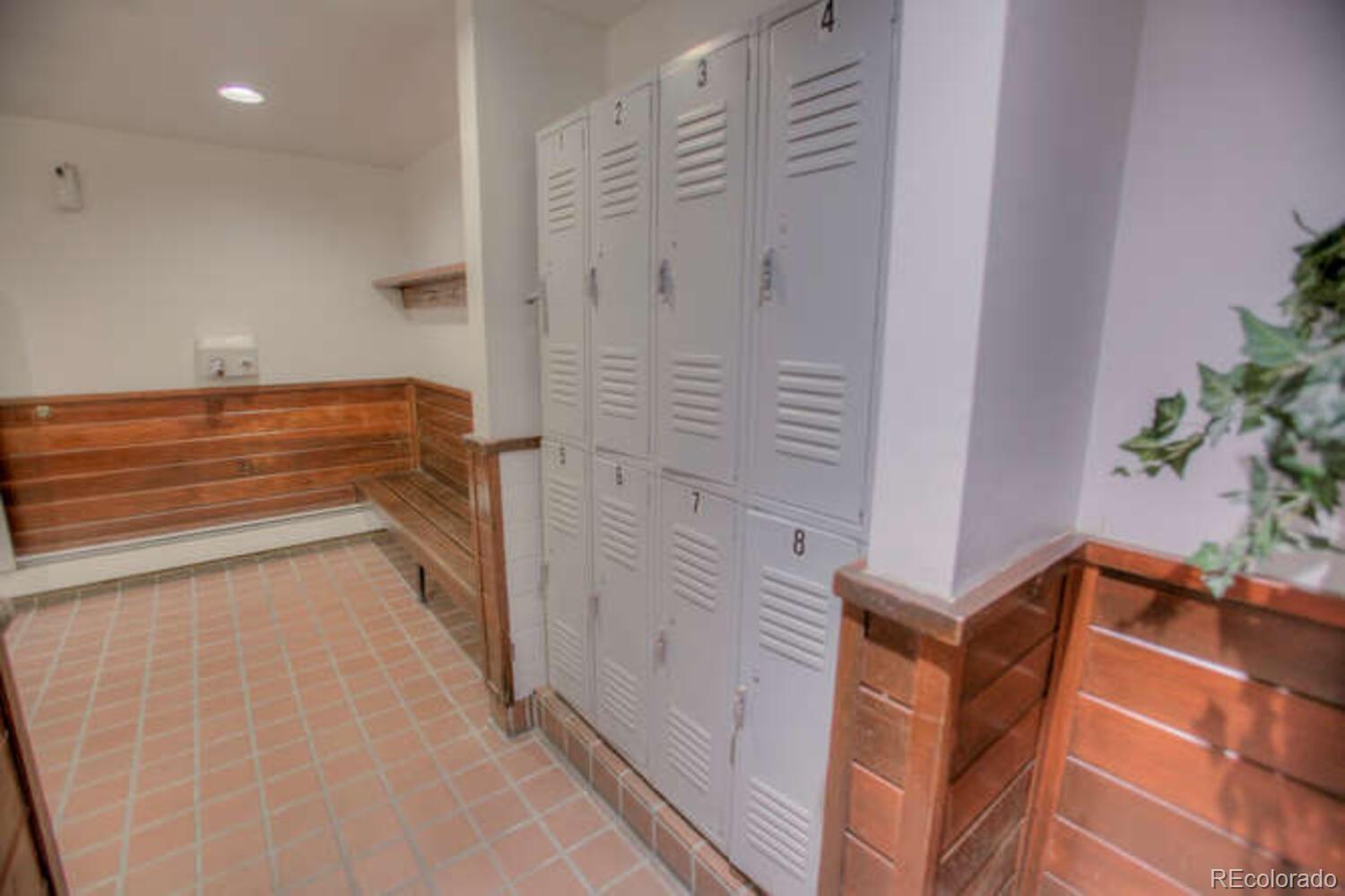 91500 Ryan Gulch Road Silverthorne CO 80498