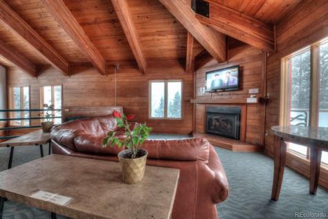 91500 Ryan Gulch Road Silverthorne CO 80498
