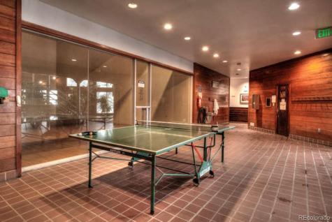 91500 Ryan Gulch Road Silverthorne CO 80498