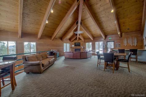 91500 Ryan Gulch Road Silverthorne CO 80498