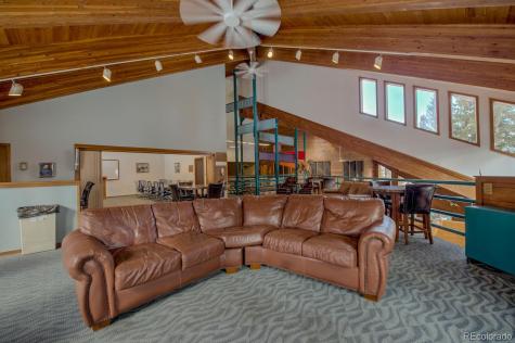 91500 Ryan Gulch Road Silverthorne CO 80498