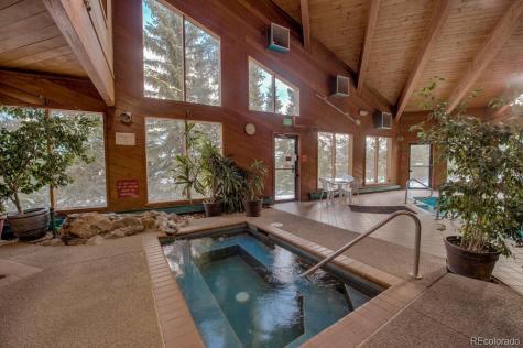 91500 Ryan Gulch Road Silverthorne CO 80498