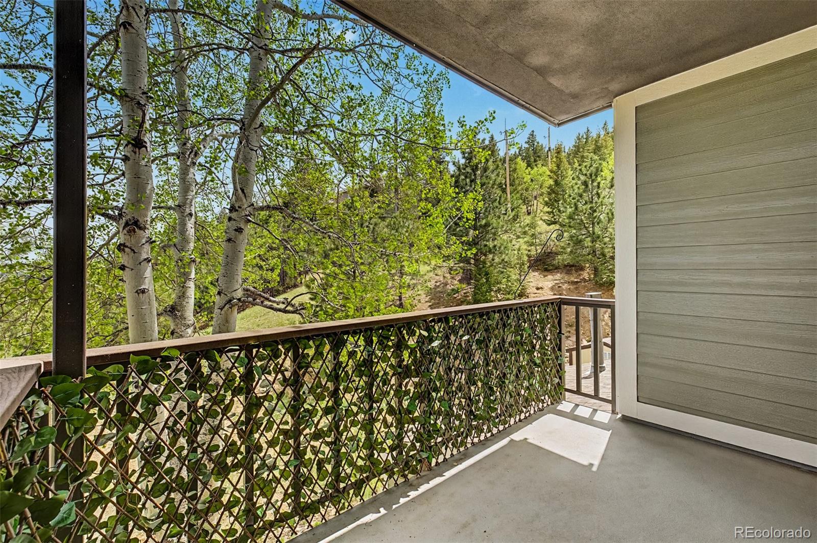 31270 John Wallace Road Evergreen CO 80439