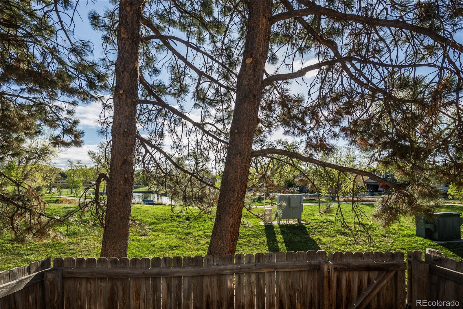 2941 W 81st Avenue Westminster CO 80031