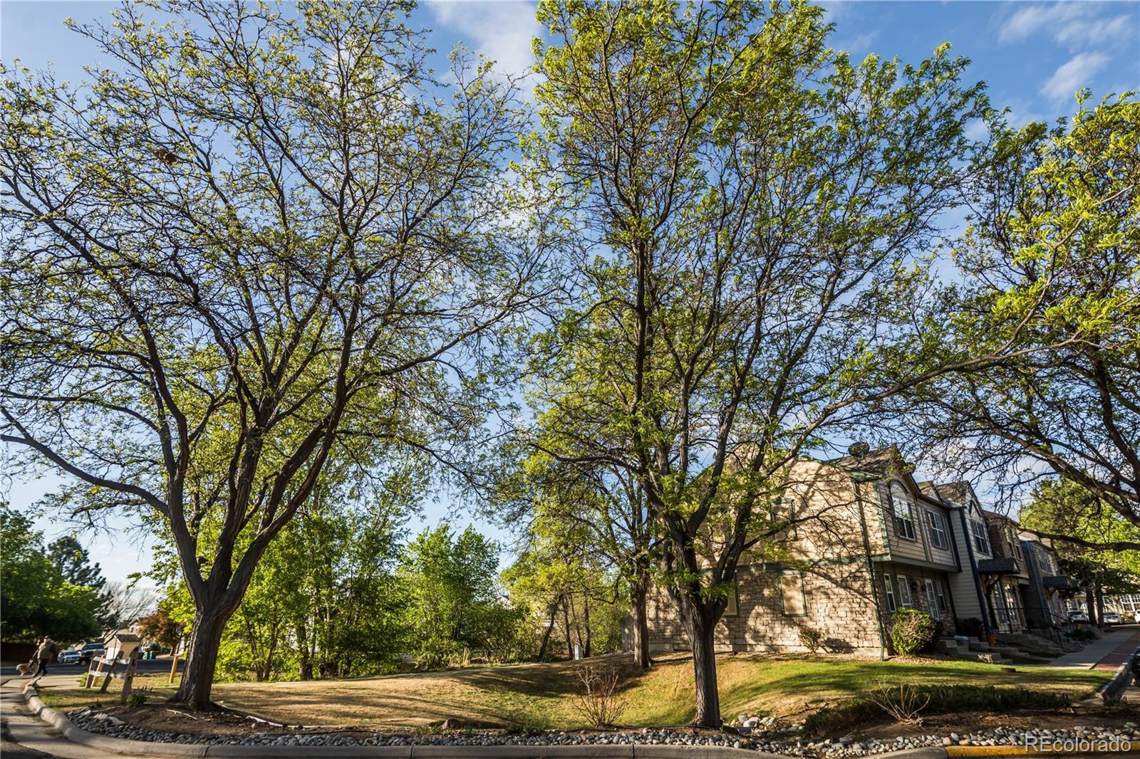 2941 W 81st Avenue Westminster CO 80031